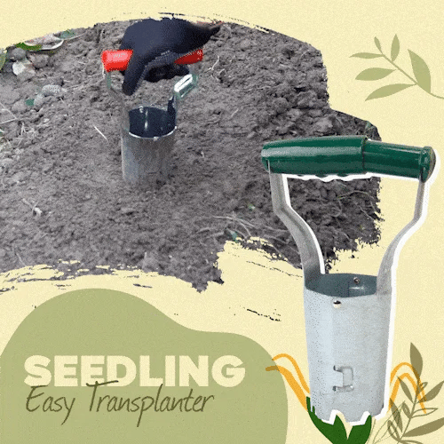 Seedling transplanter planter hole punch